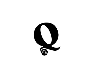 Quiksilver 1LOGO