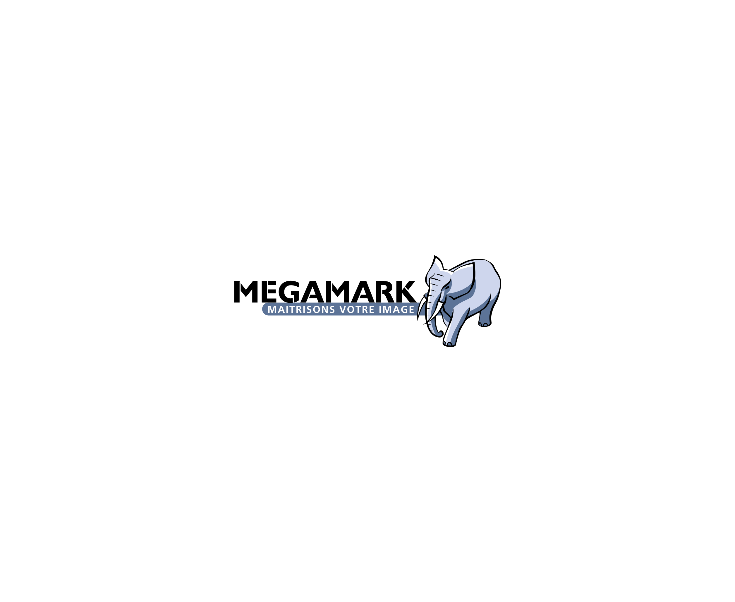 Megamark标志
