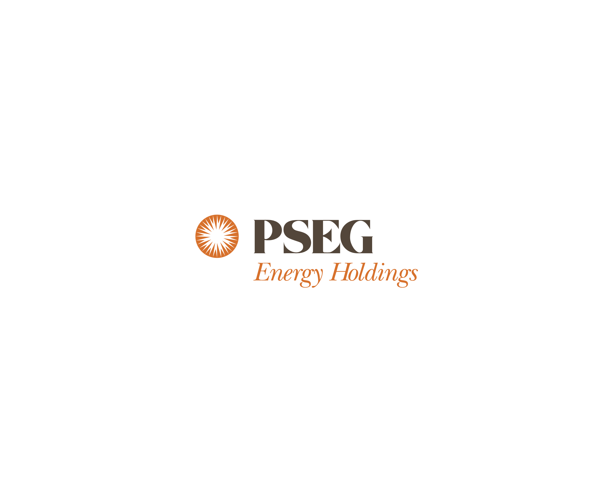 Pseg Energy Holding标志