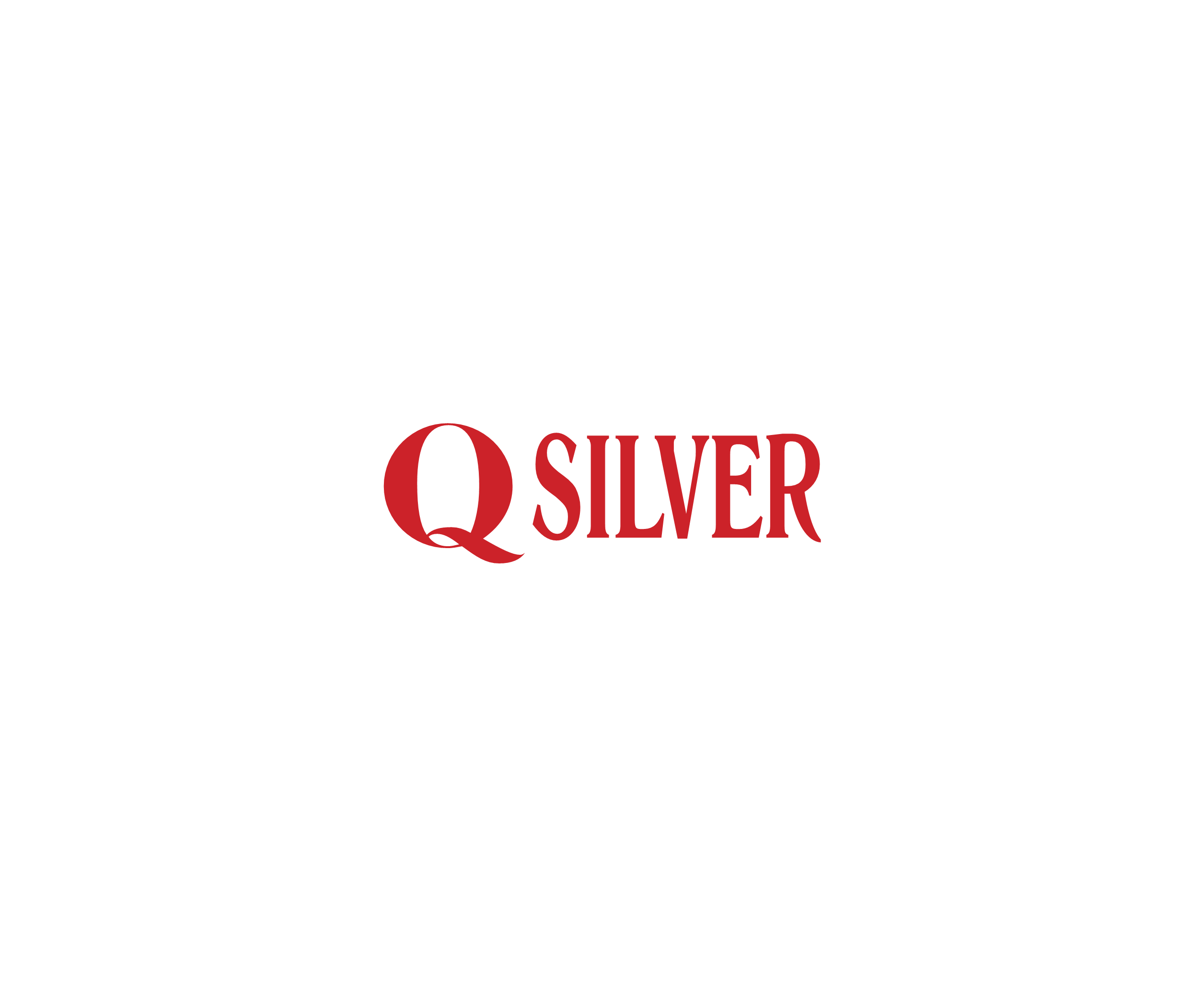 Q Silver标志