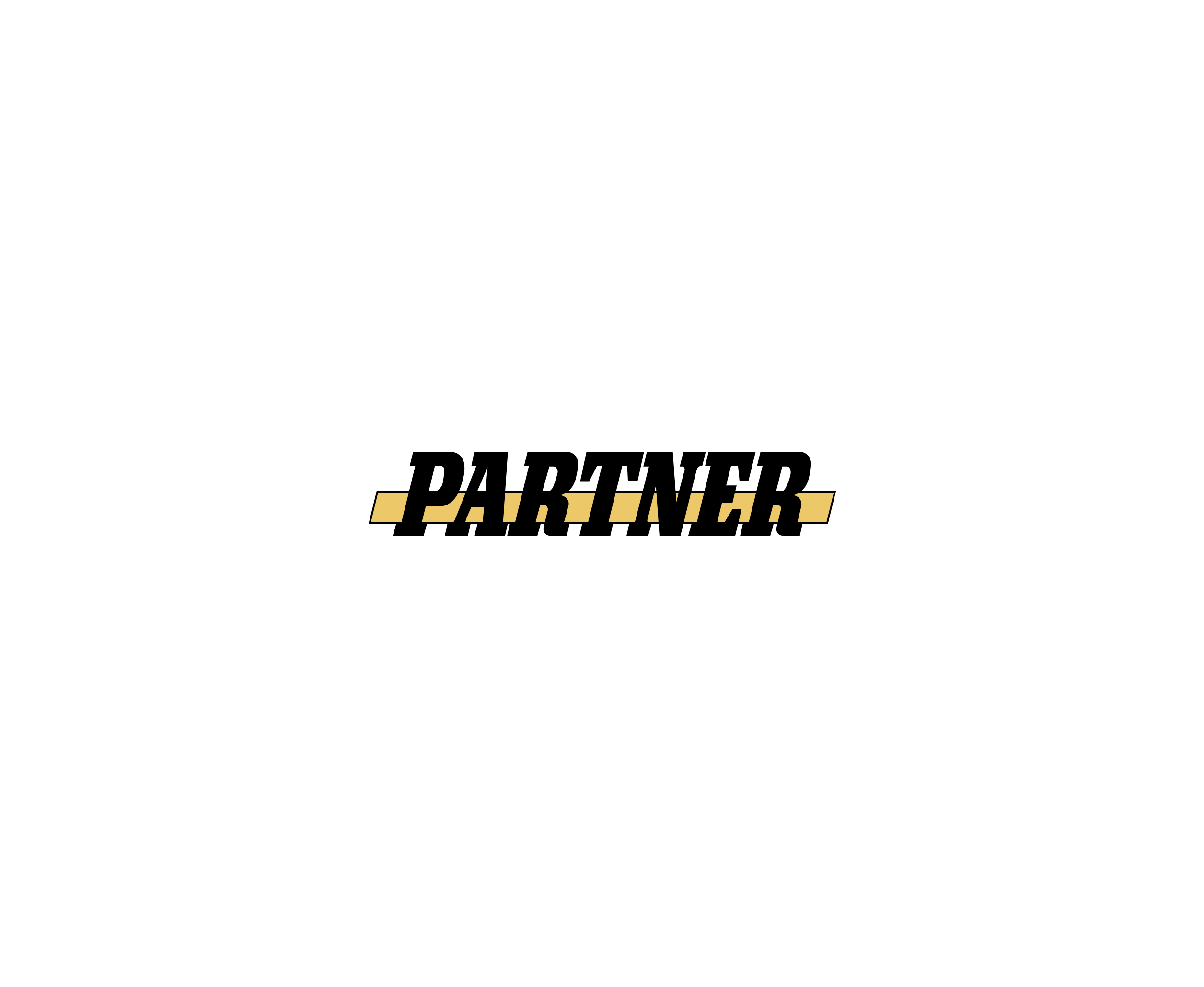 Partner 2标志