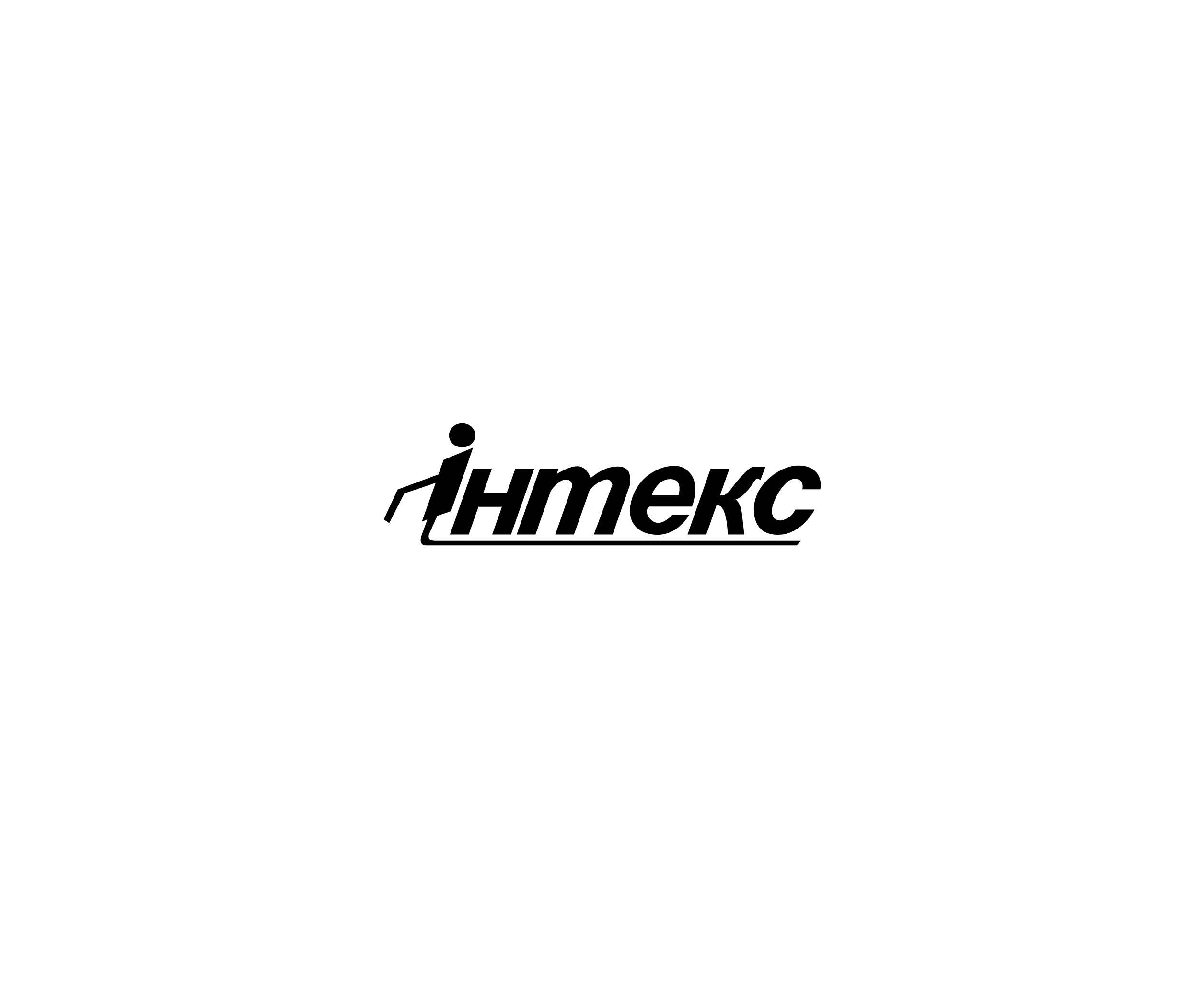 Intex 1标志
