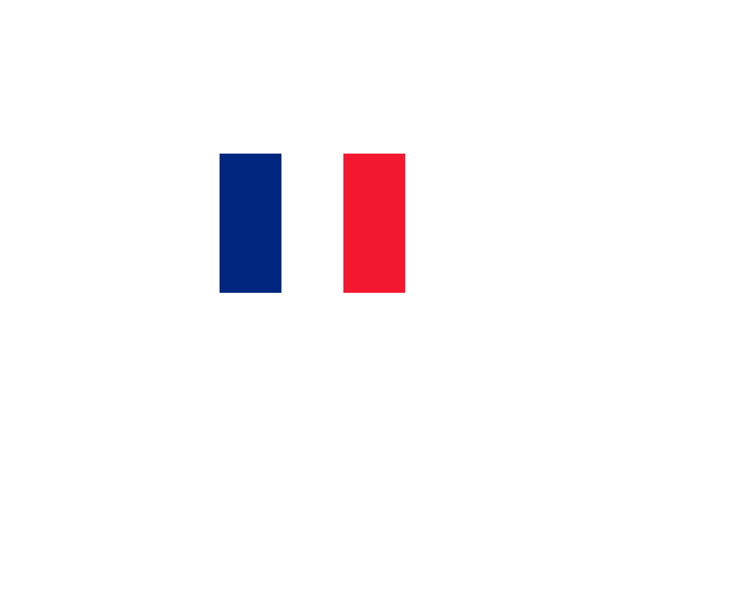 Flag Of French Guiana标志