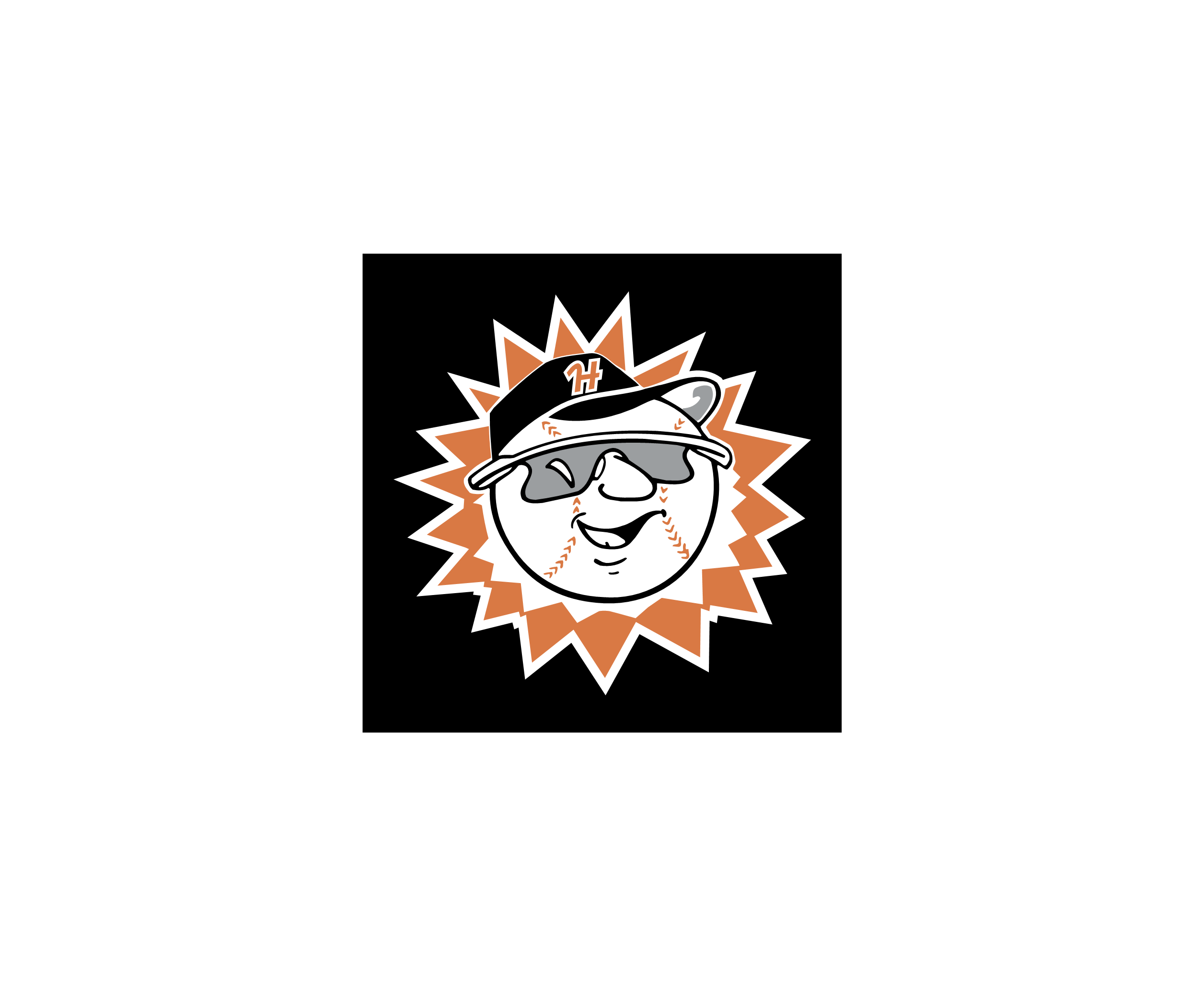 Hagerstown Suns标志