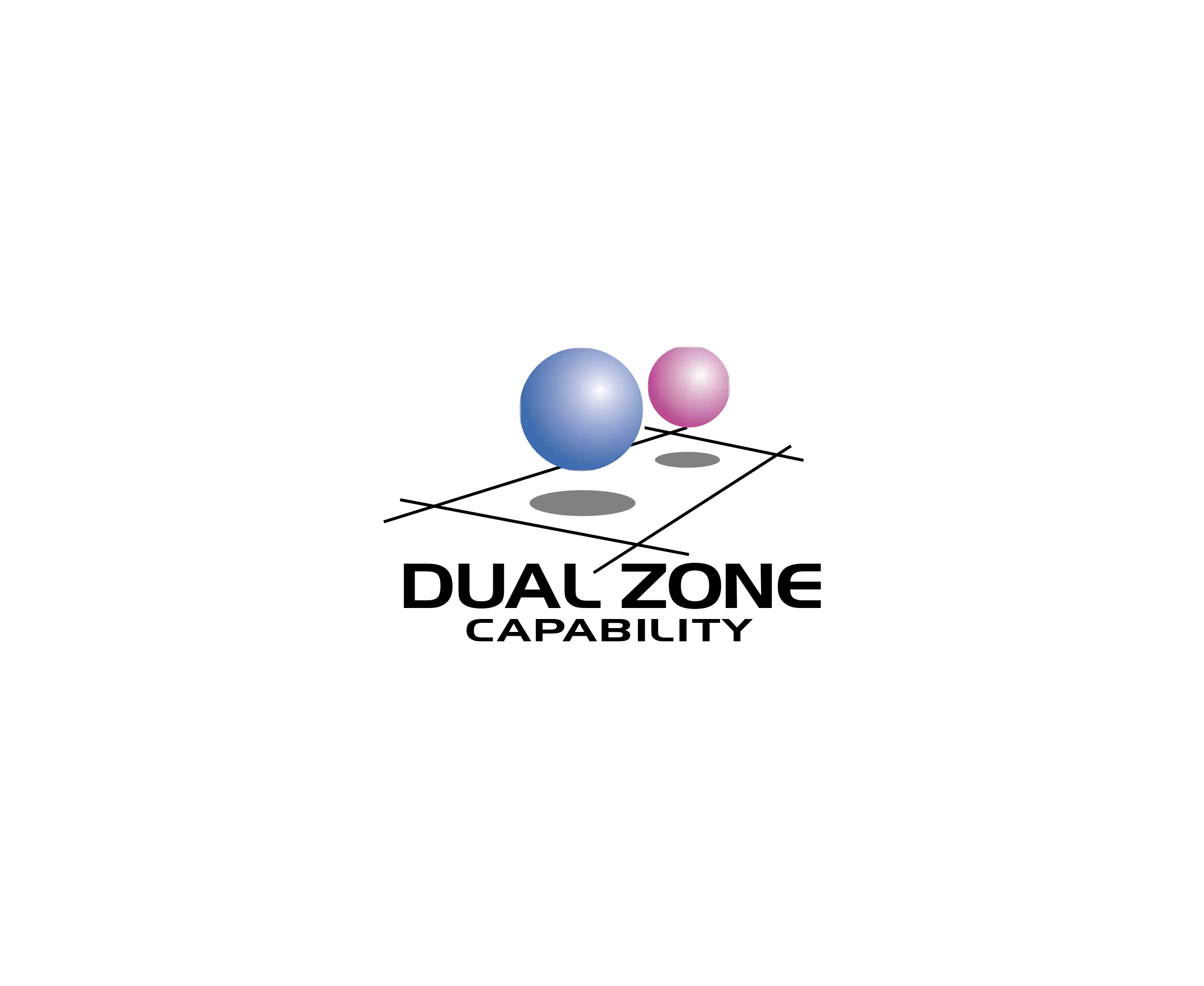 Dual Zone Capability标志
