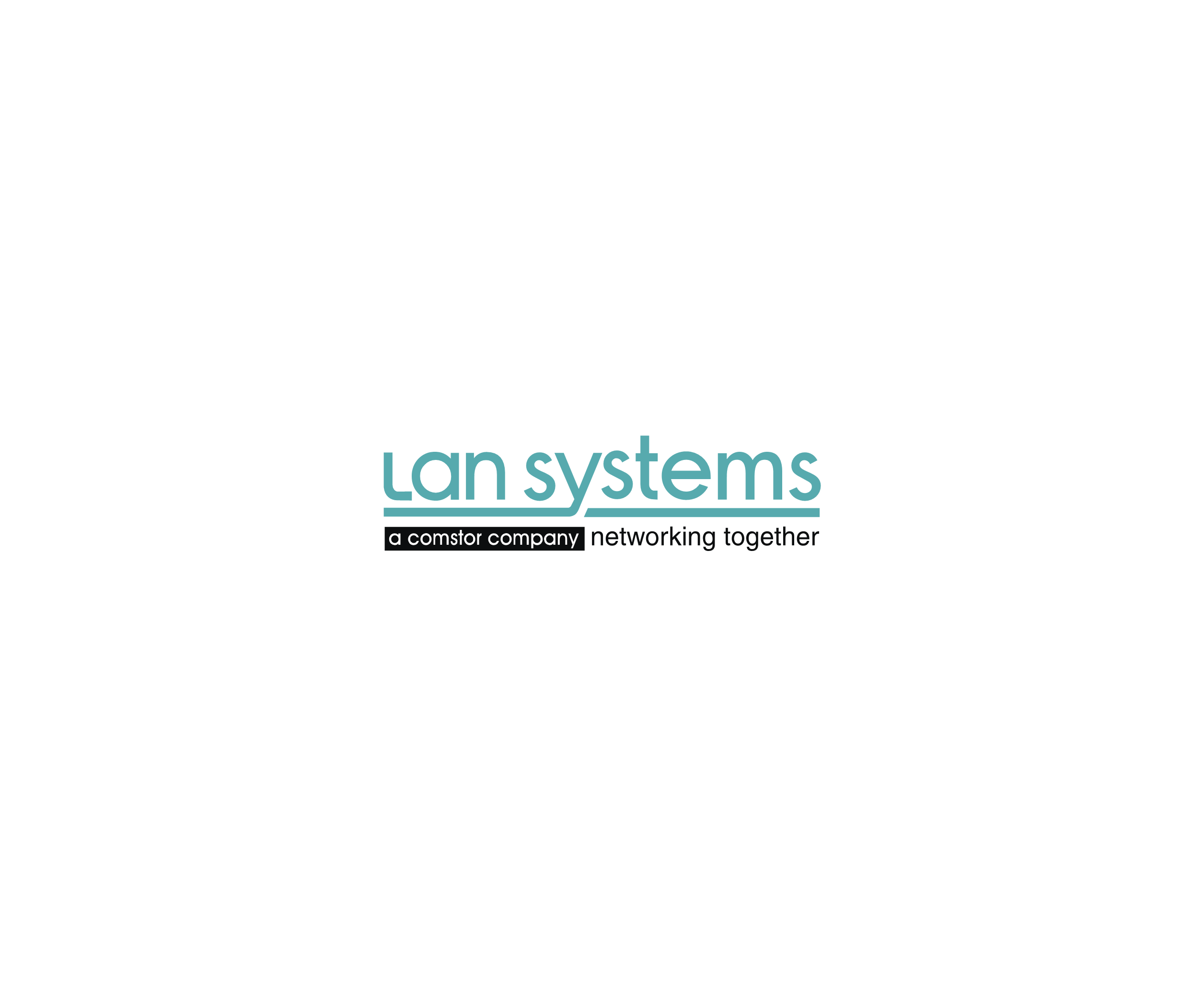 Lan Systems标志