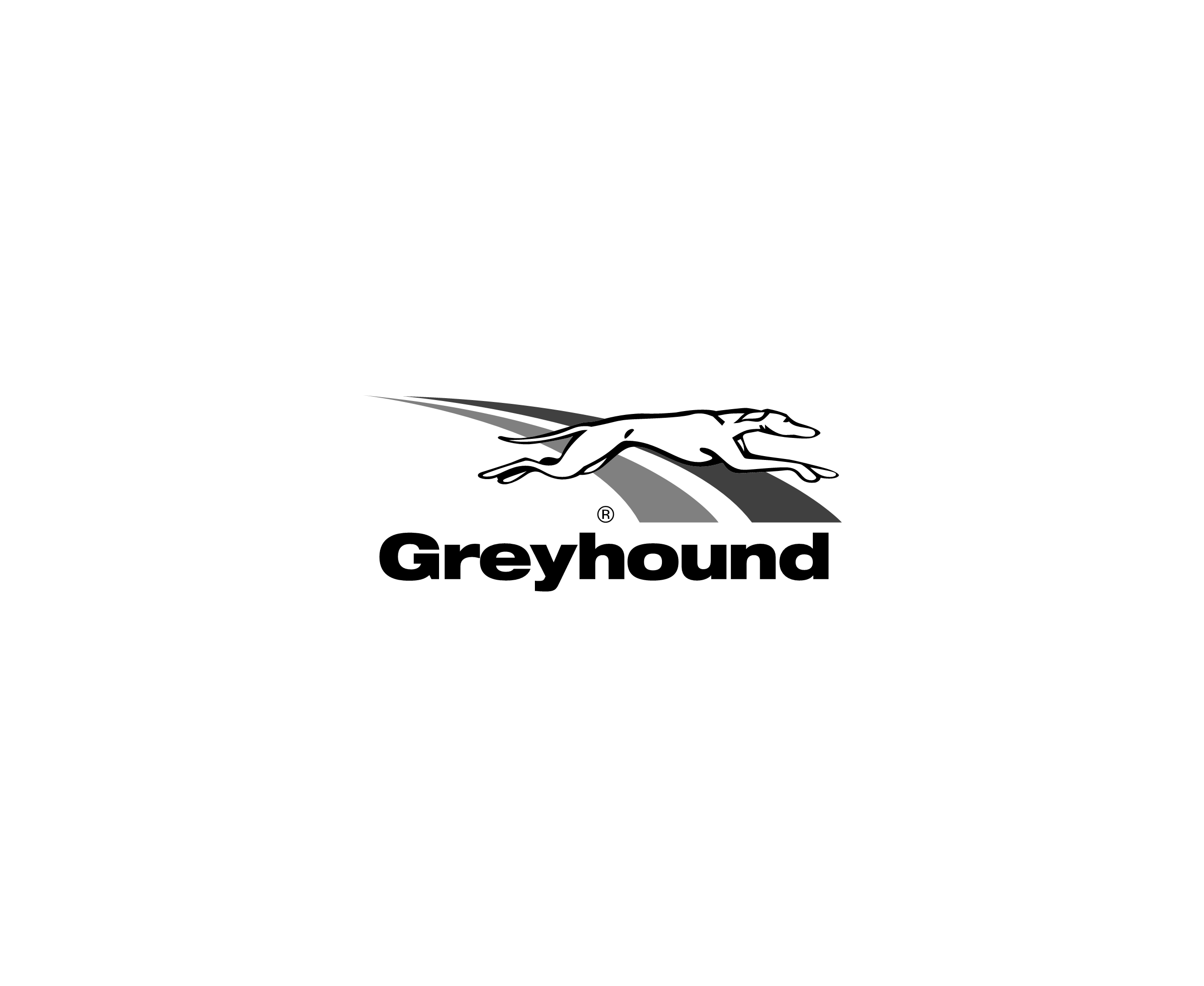 Greyhound标志