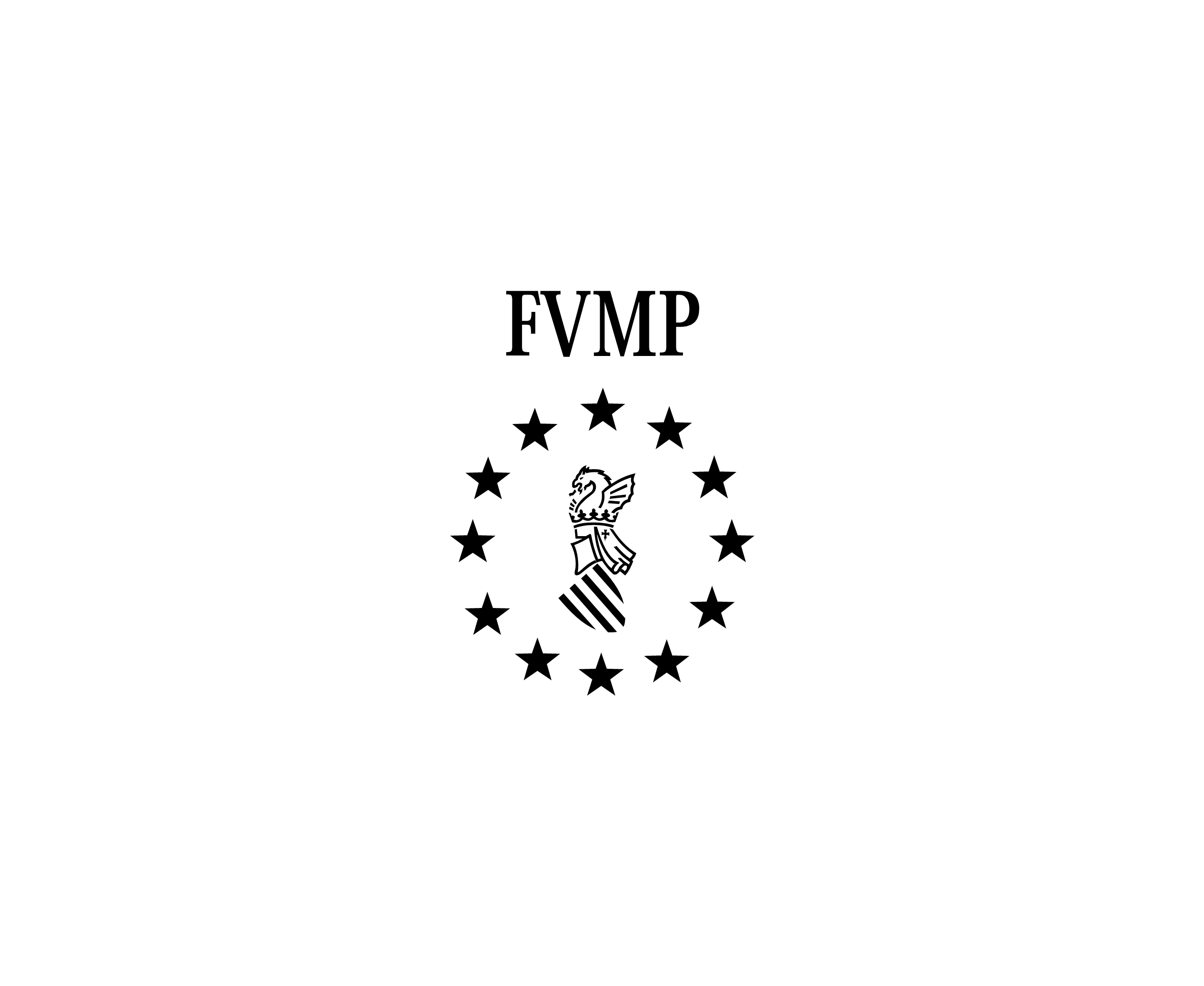 Fvmp标志