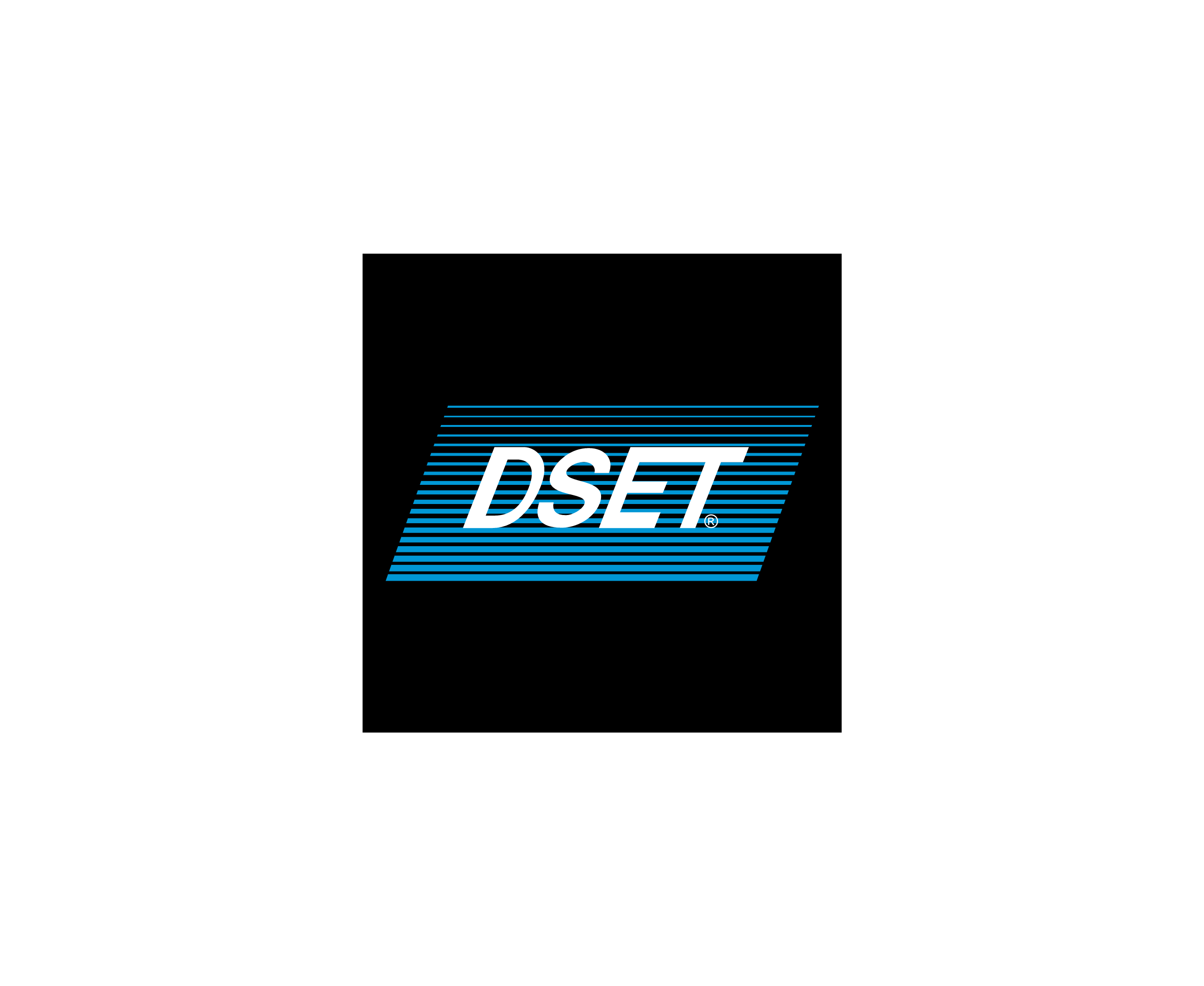 Dset标志