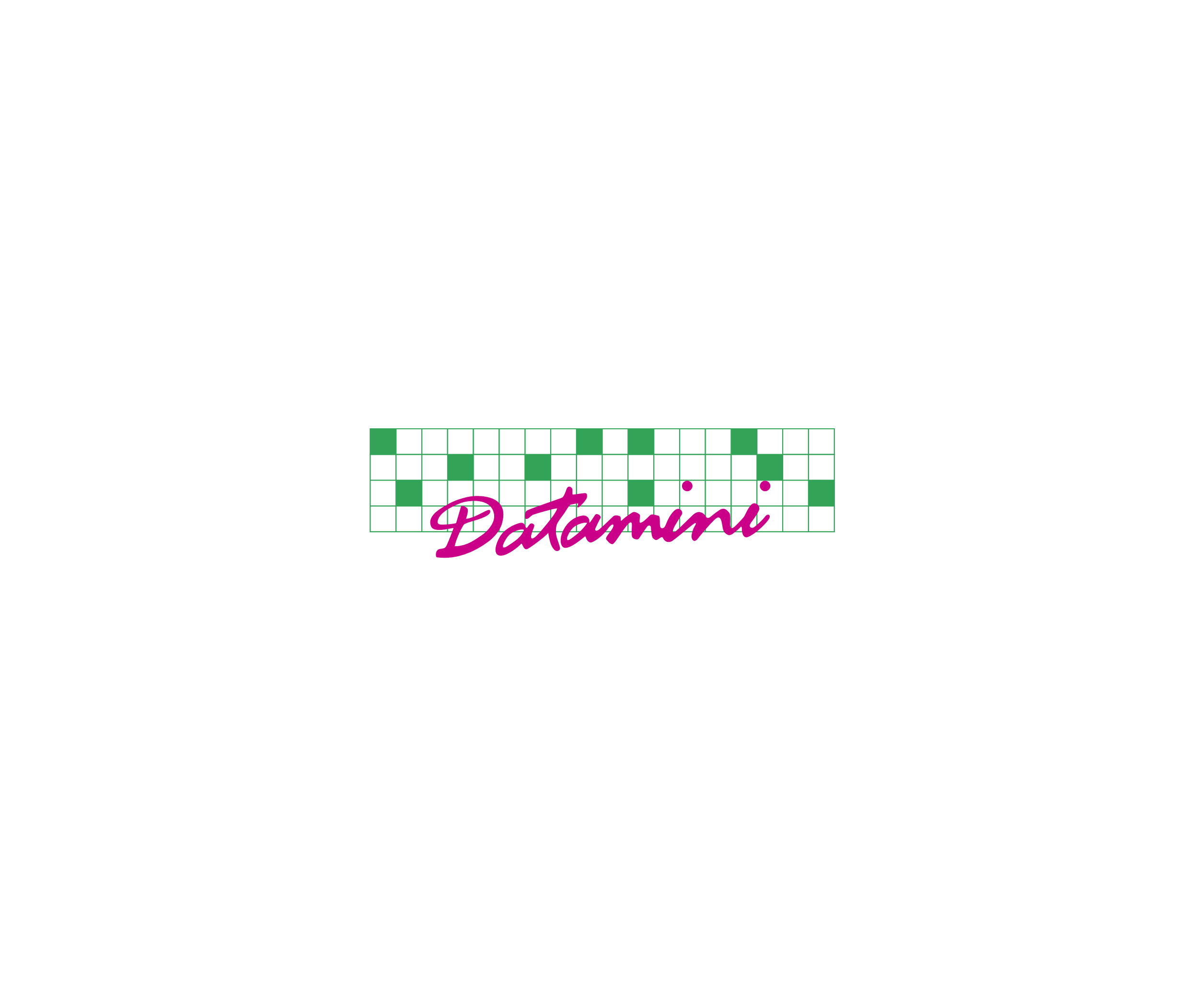 Datamini标志
