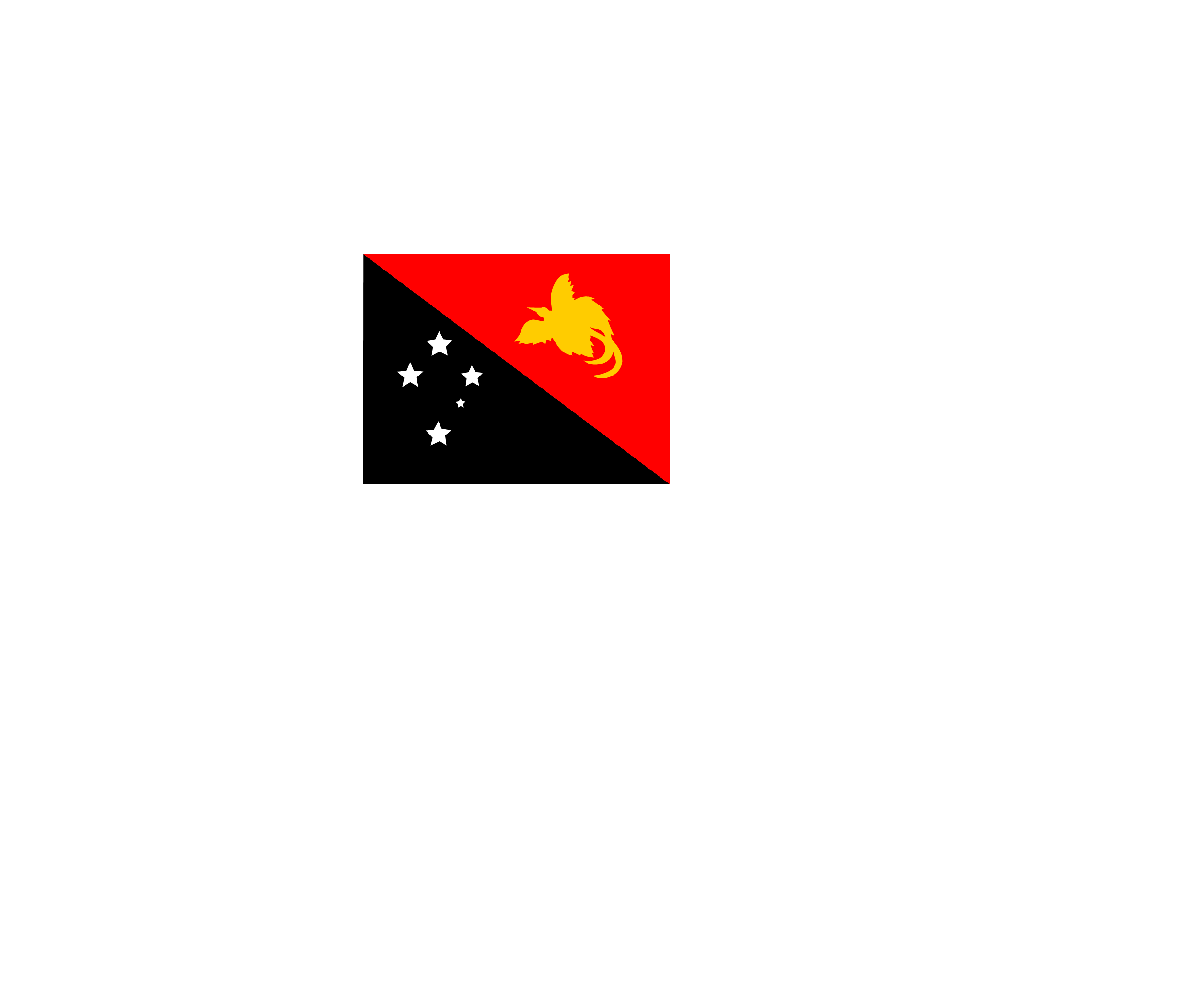 Flag Of Papua New Guinea标志