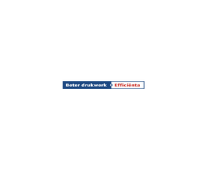 EfficientaLOGO