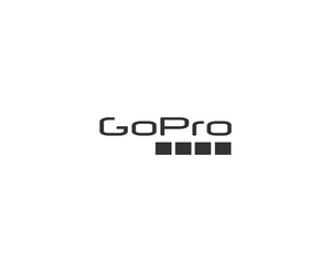 Gopro 2LOGO