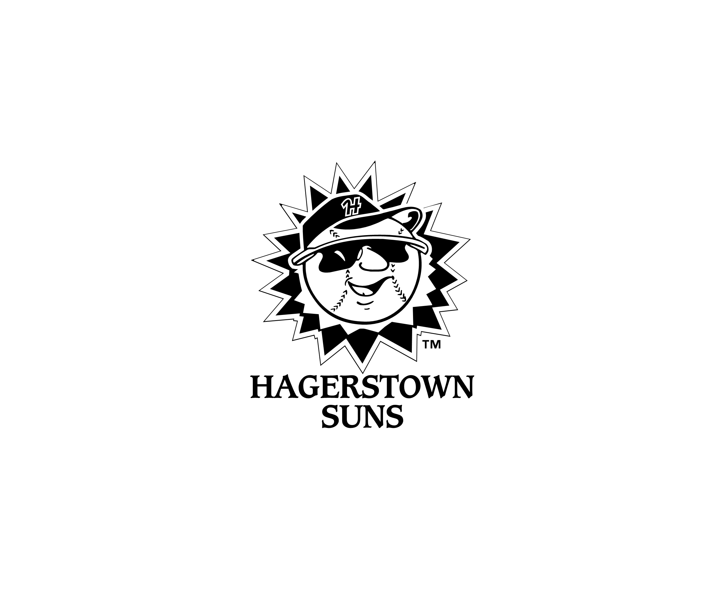 Hagerstown Suns 1标志