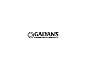 Galyan S 1LOGO