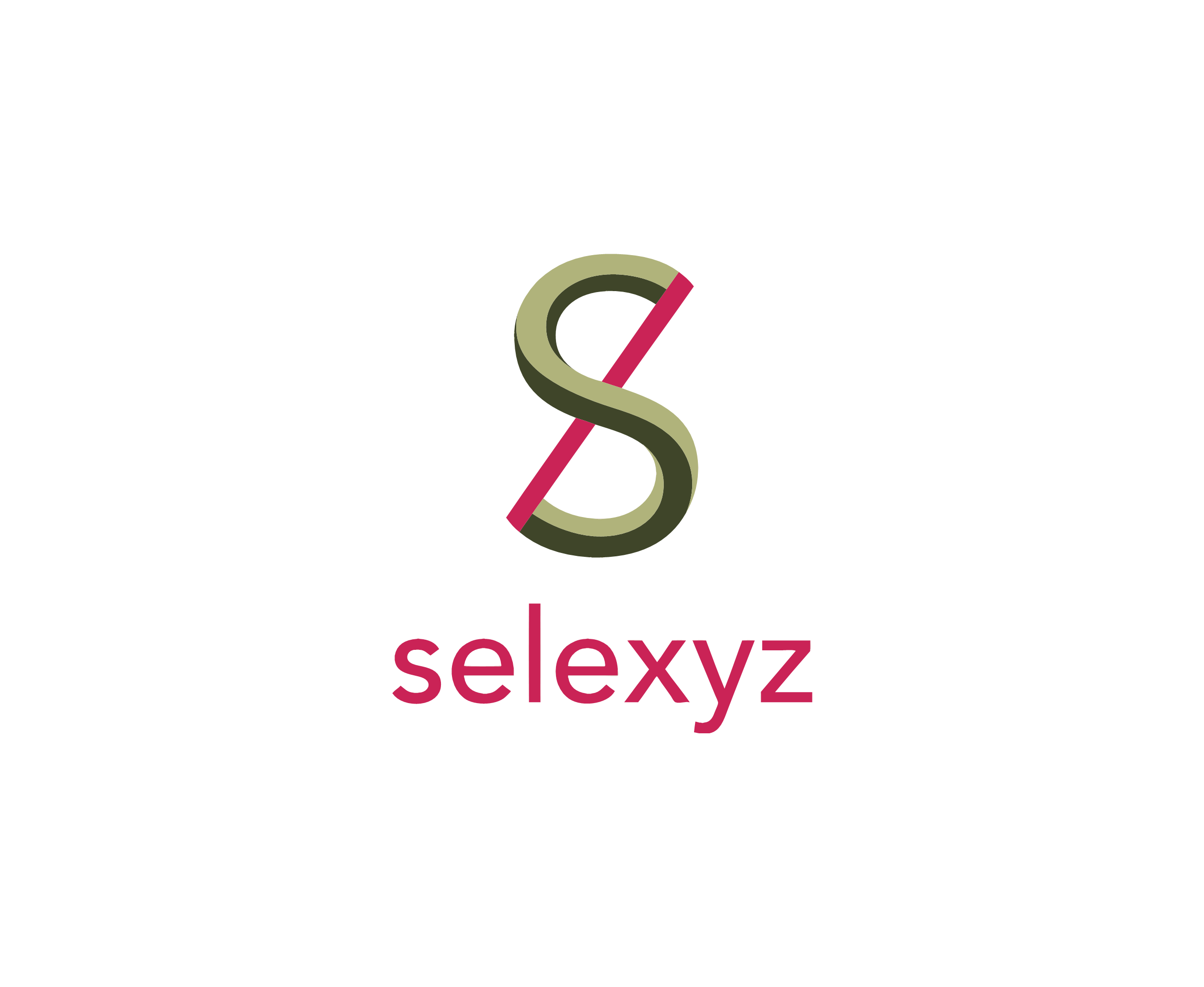 Selexyz标志