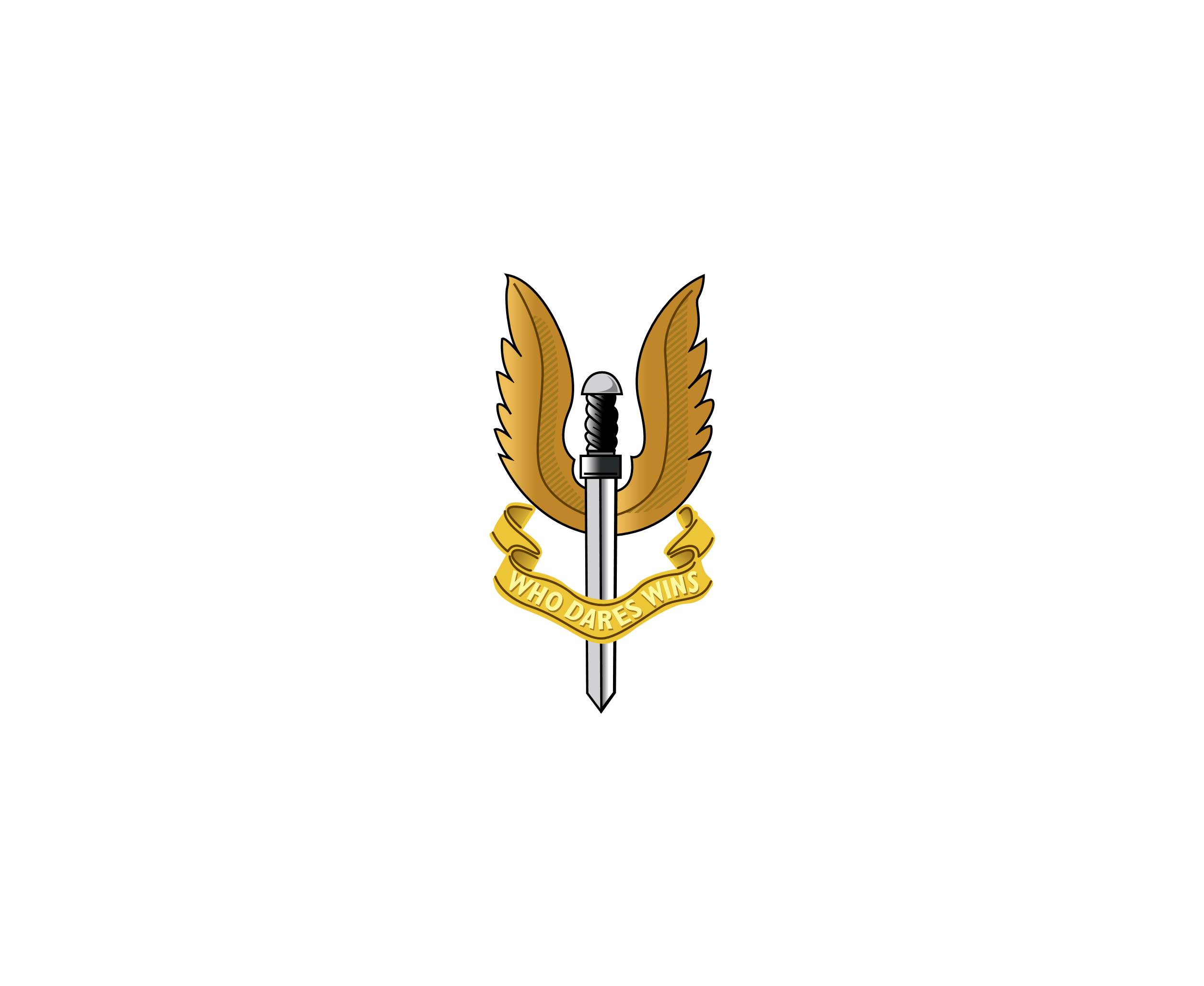 Sas 1标志