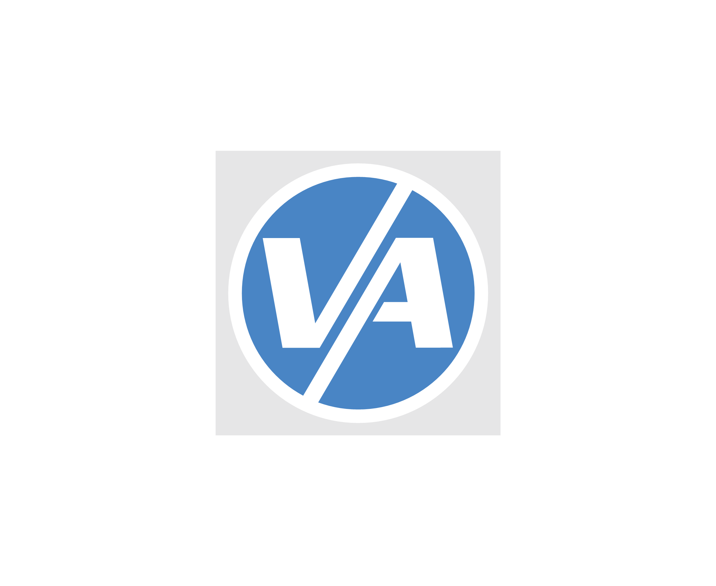 Va Vladivostok Avia标志