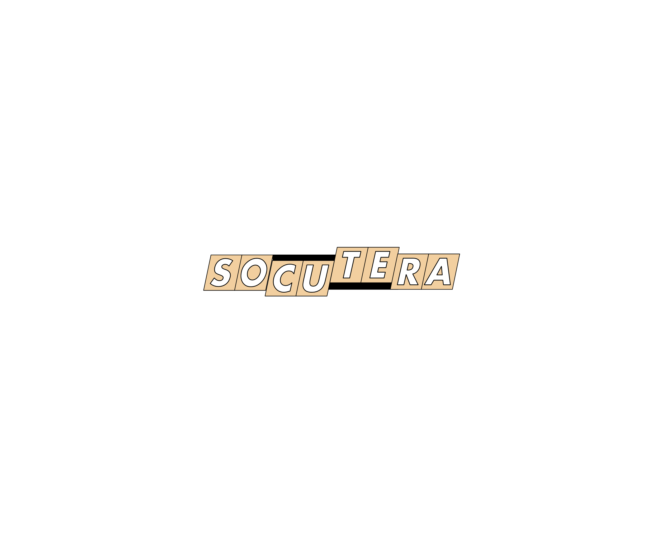 Socutera标志