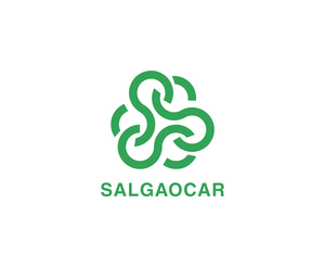 SalgaocarLOGO