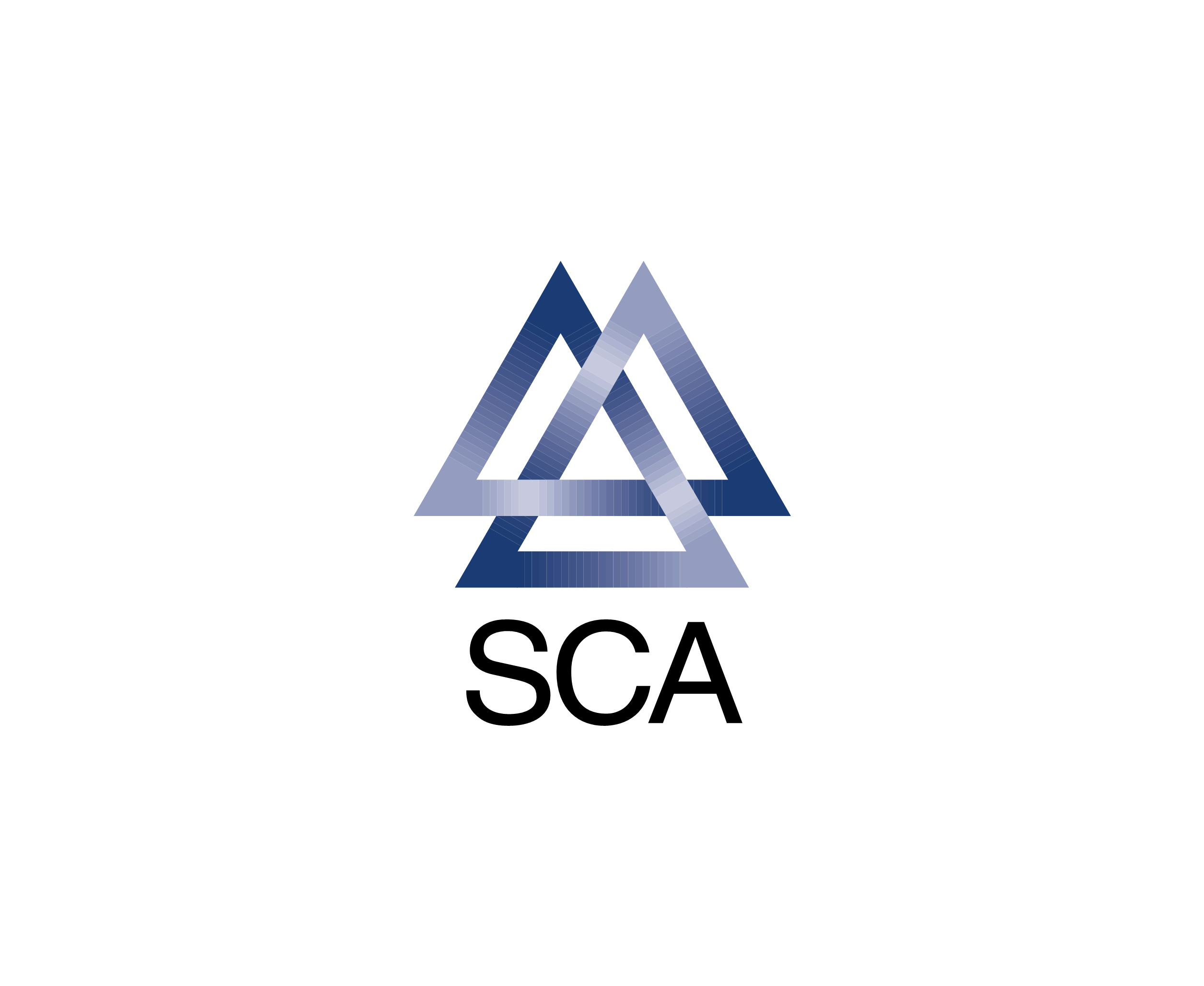 Sca标志