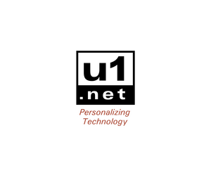 U1 NetLOGO