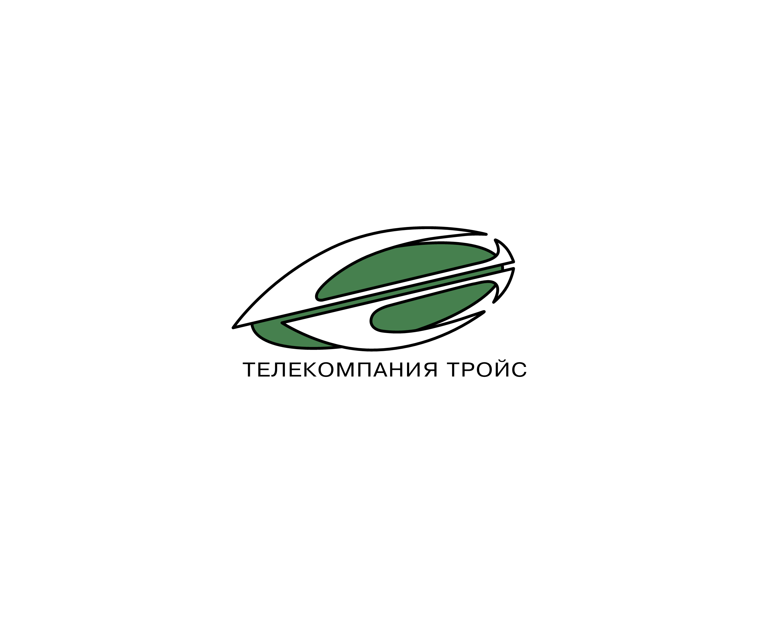 Troys标志