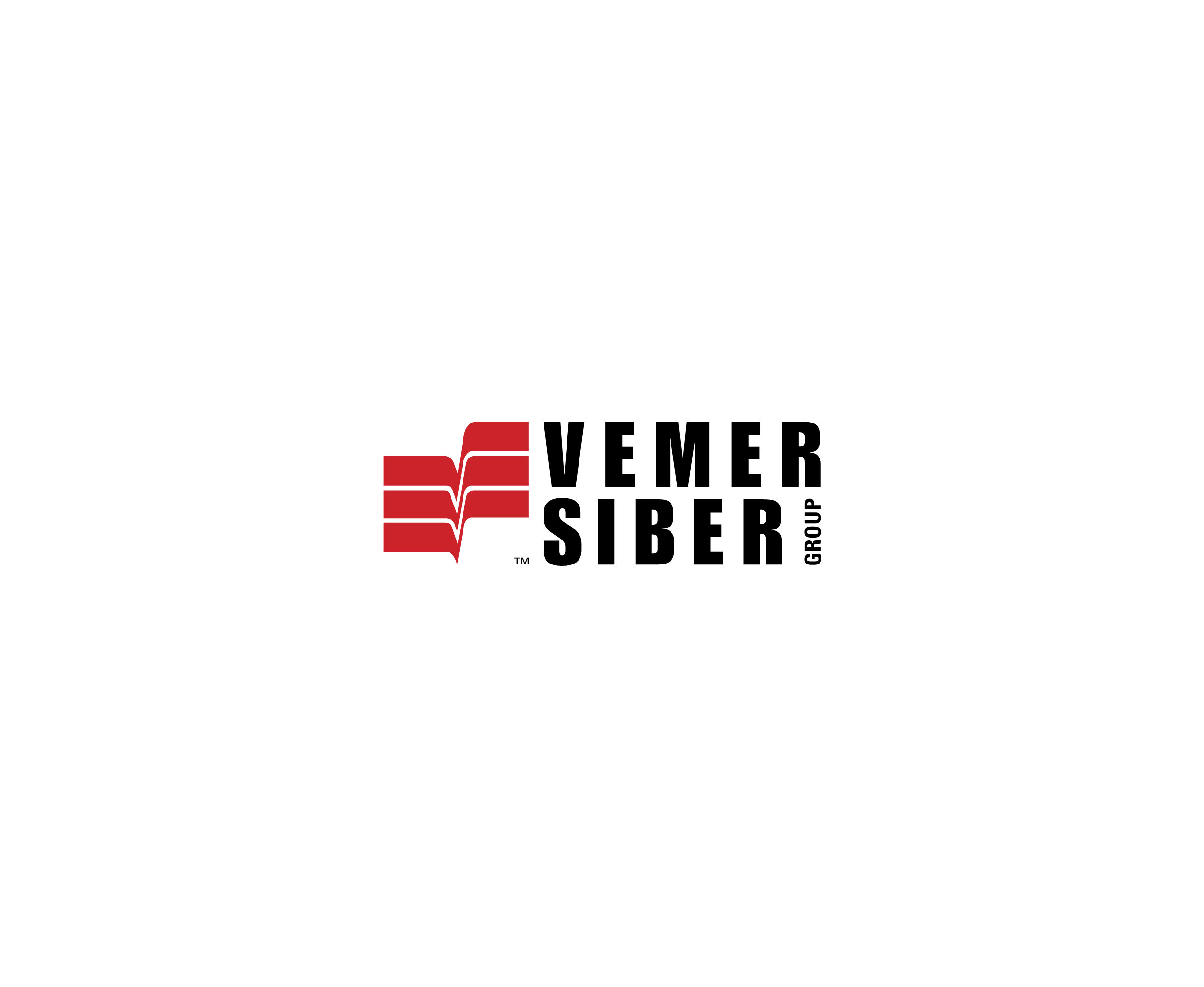 Vemer Siber Group标志