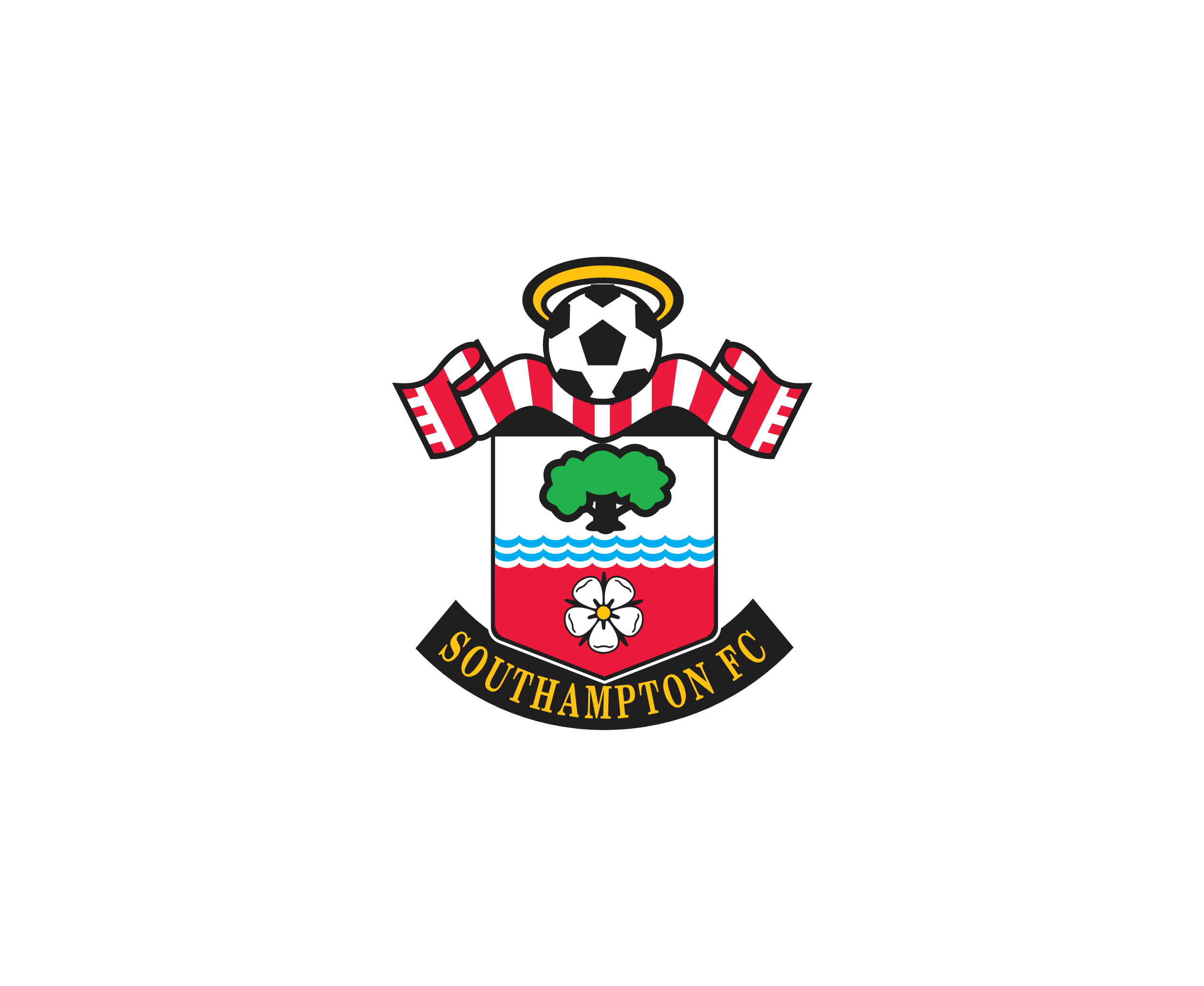 Southampton Fc 1标志