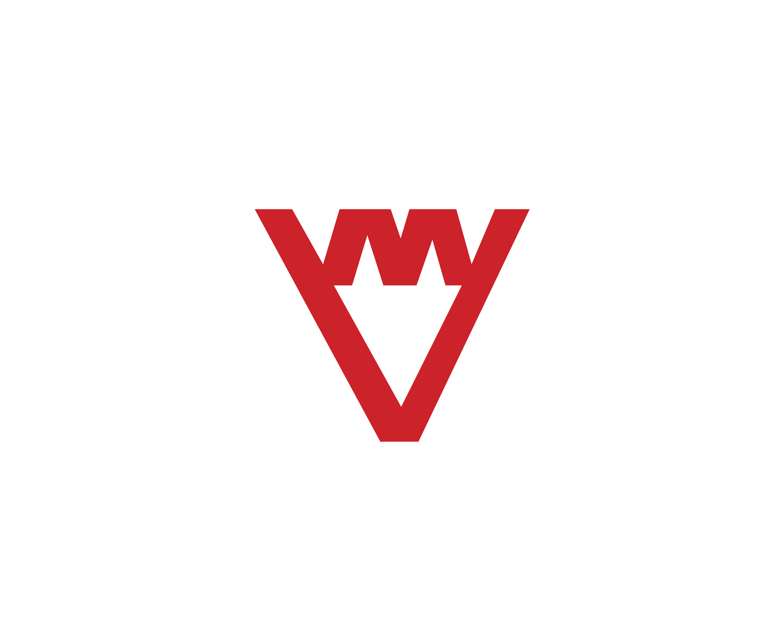 Veryeri Makina标志