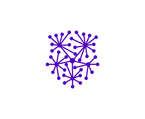 Zsc 1LOGO