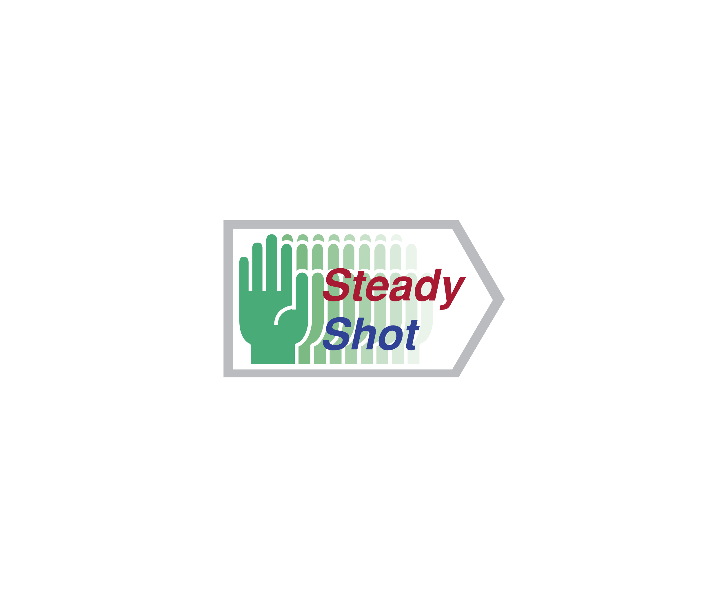 Steady Shot标志