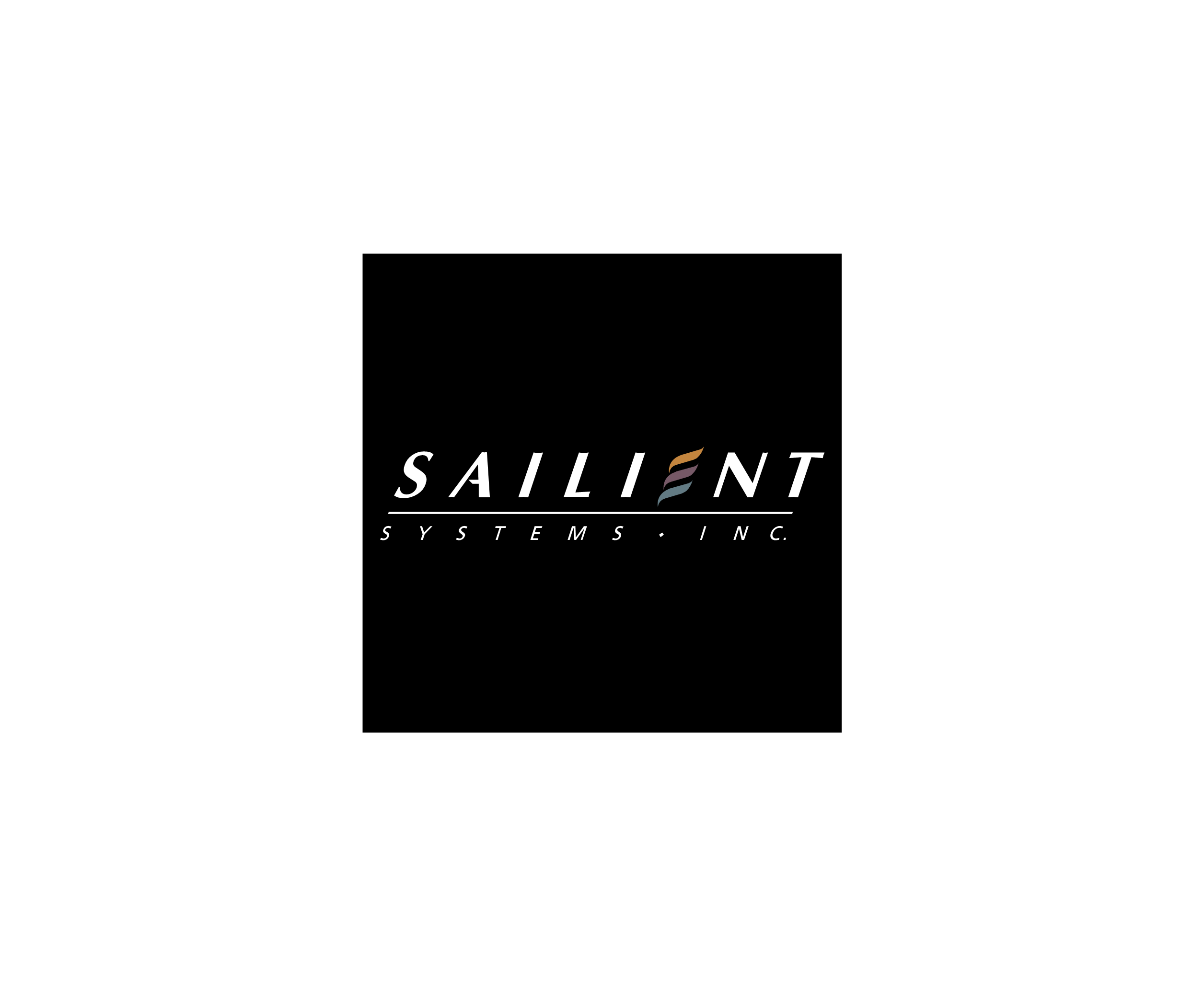 Sailint Systems标志