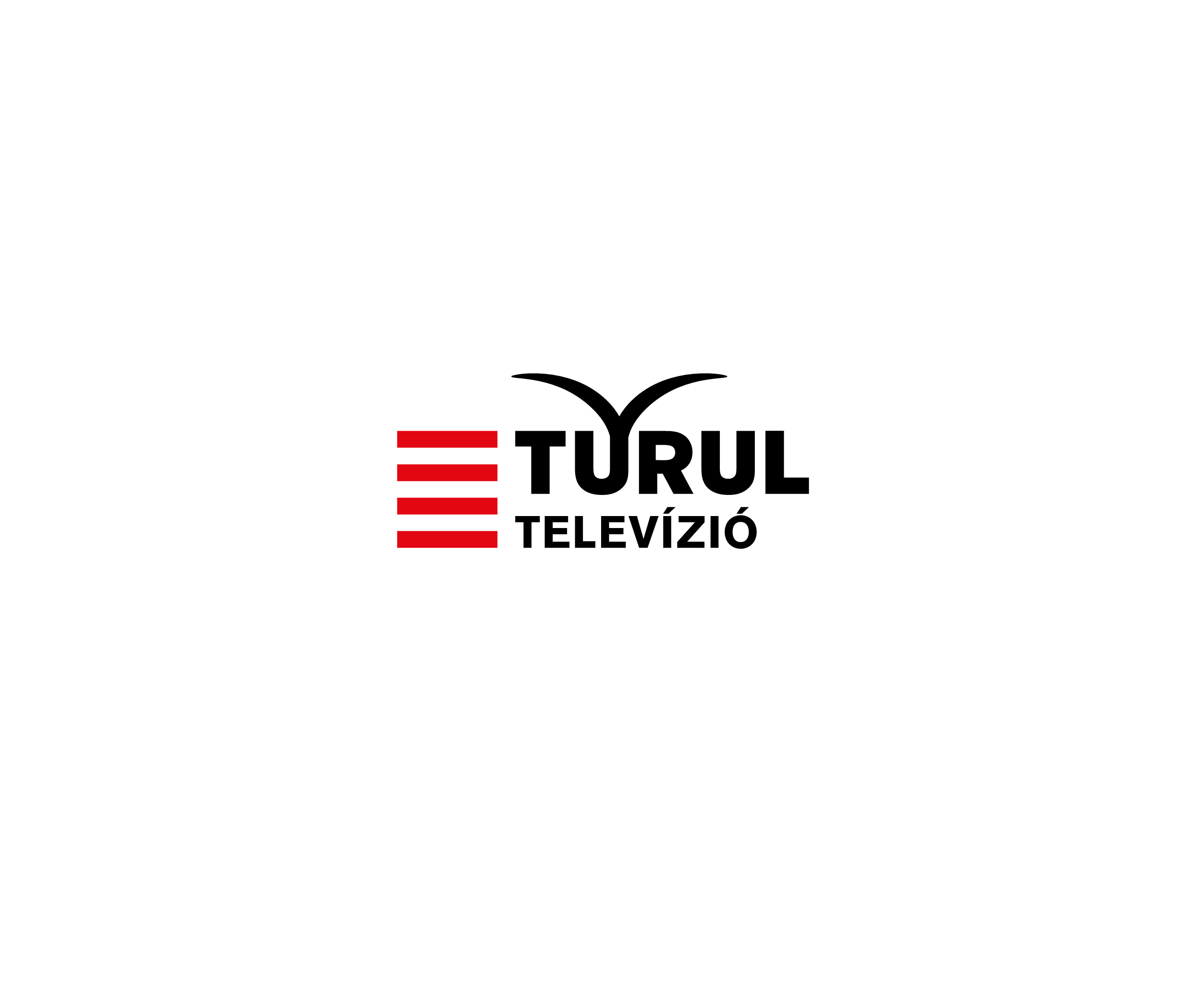 Turul Tv标志