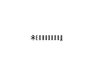 TehnoholodLOGO