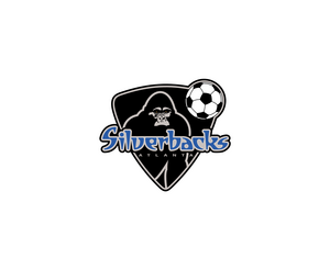 Silver 1LOGO