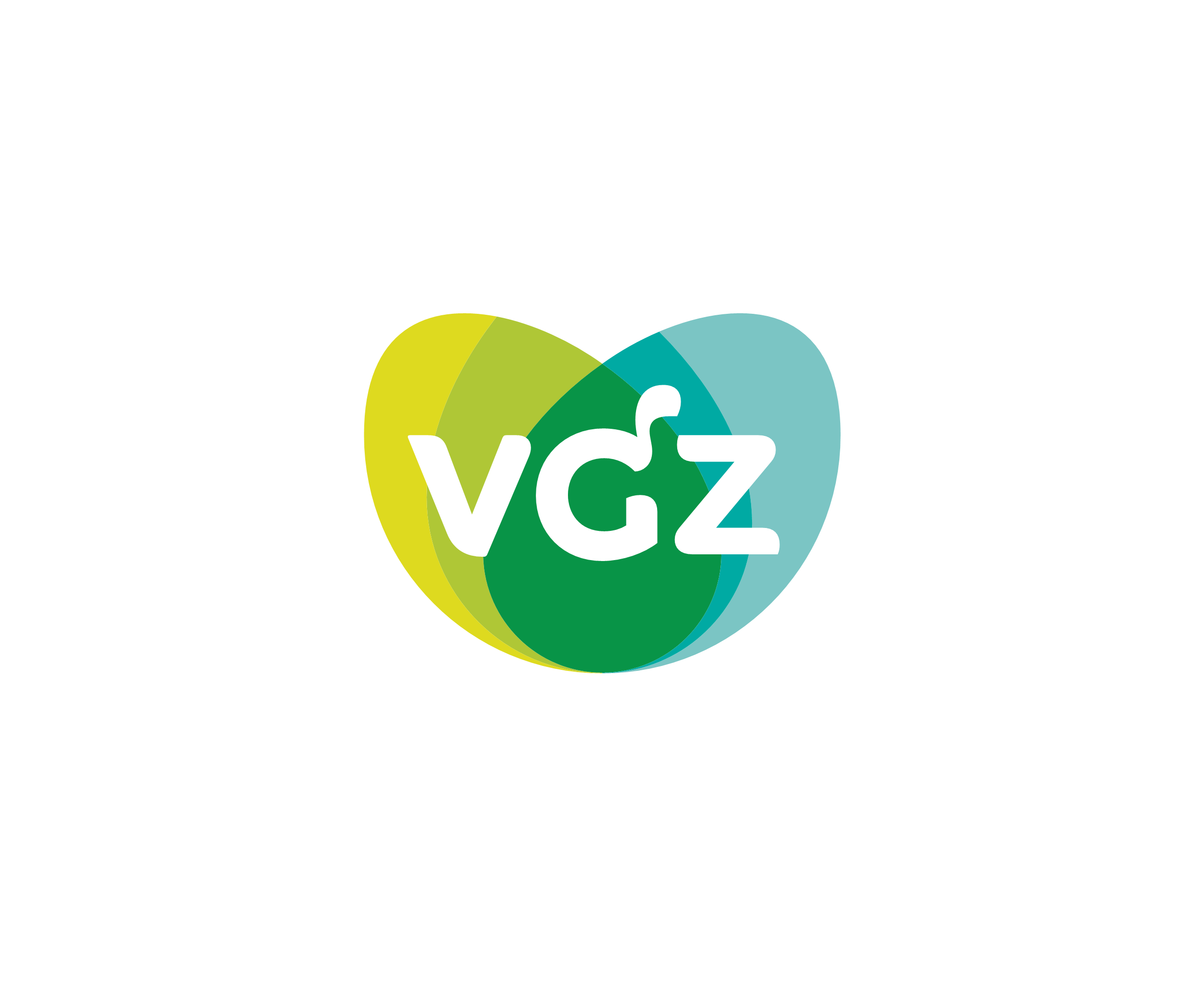 Vgz标志