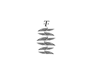 TrimentionLOGO