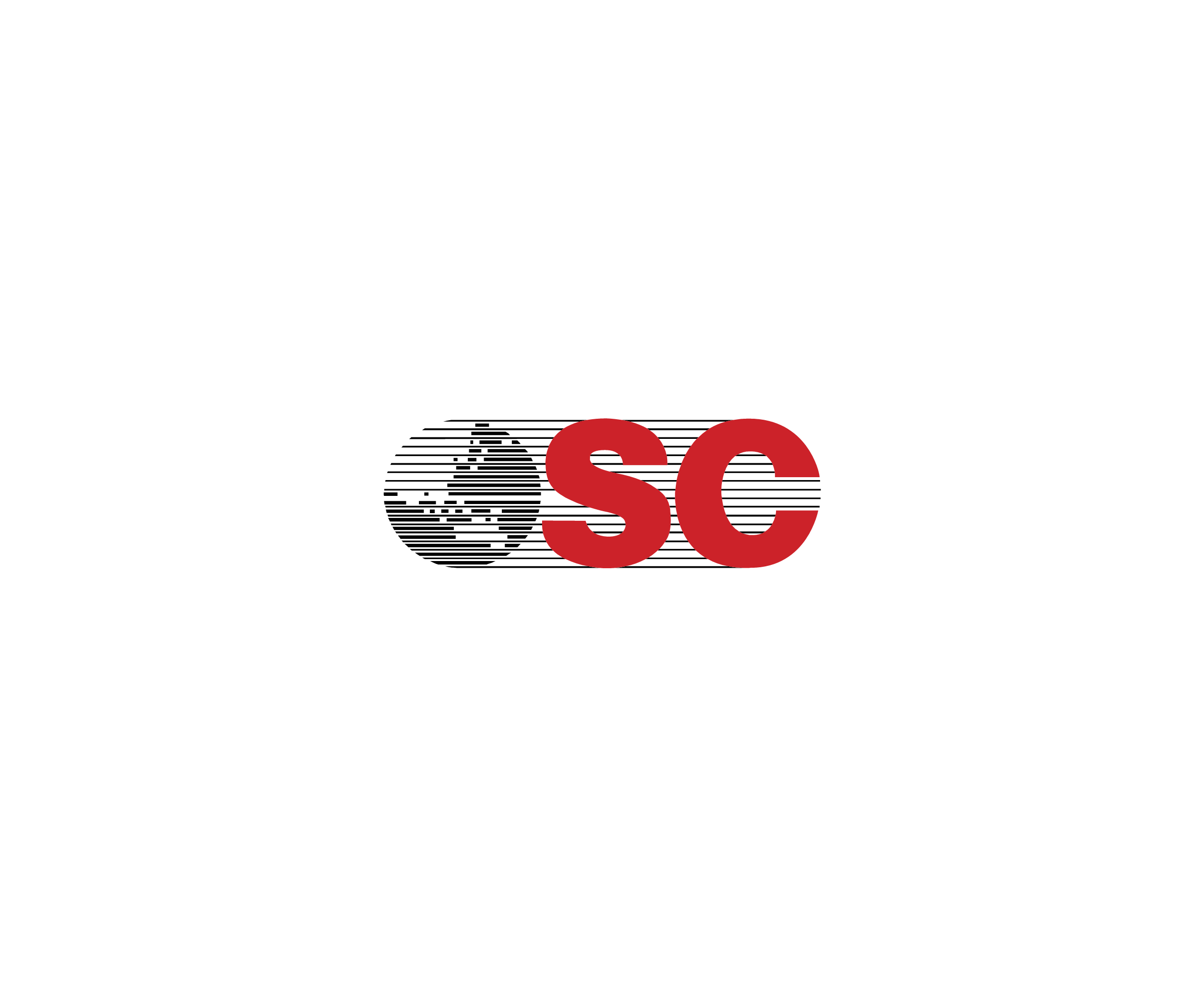South China标志